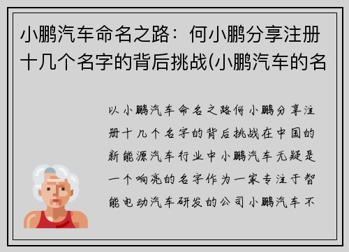 小鹏汽车命名之路：何小鹏分享注册十几个名字的背后挑战(小鹏汽车的名字怎么取得)