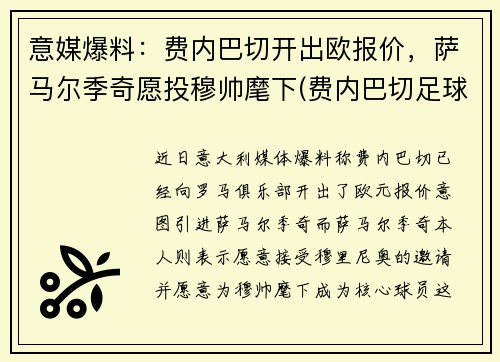 意媒爆料：费内巴切开出欧报价，萨马尔季奇愿投穆帅麾下(费内巴切足球俱乐部是哪个国家的)