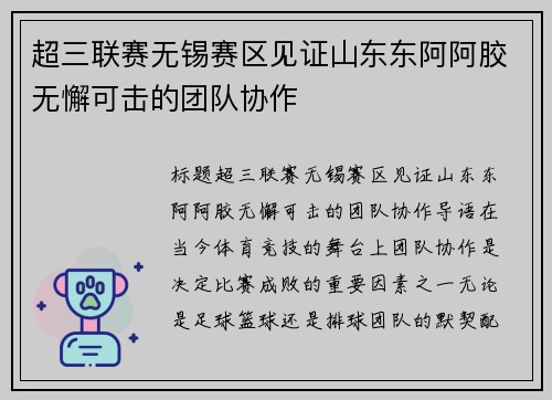 超三联赛无锡赛区见证山东东阿阿胶无懈可击的团队协作