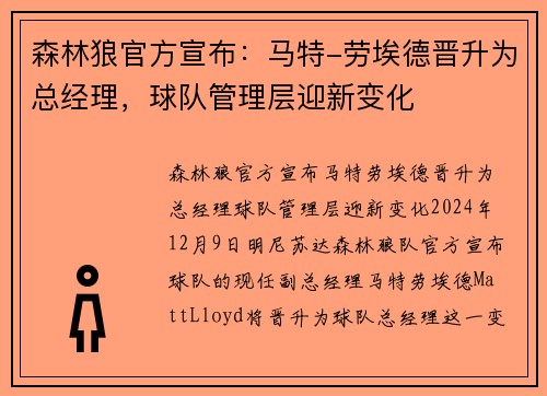 森林狼官方宣布：马特-劳埃德晋升为总经理，球队管理层迎新变化